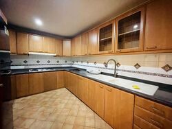 Parc Palais (D21), Condominium #568248641